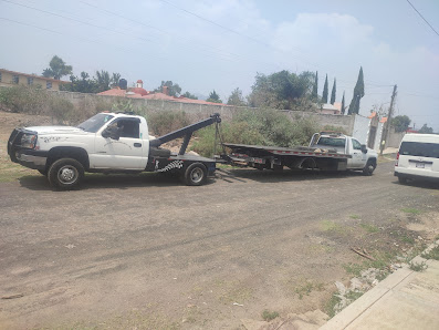 Gruas Lagartijo